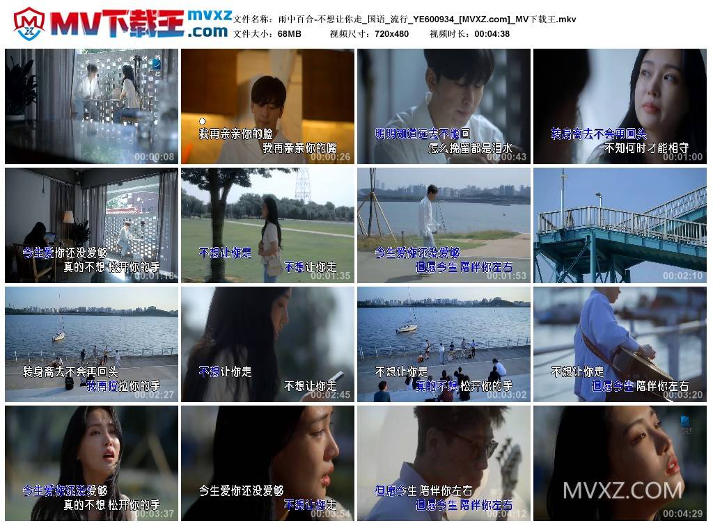 雨中百合-不想让你走_国语_流行_YE600934